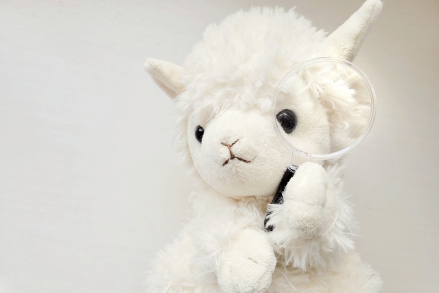 相場はどのくらい?